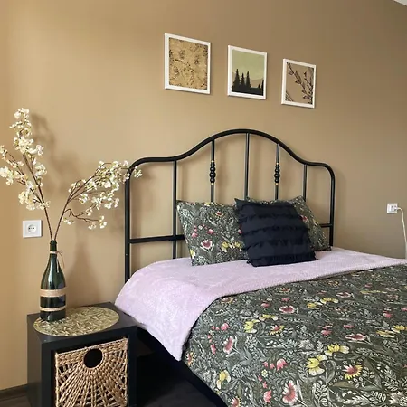Viljandi Apartment דירה ויליאנדי